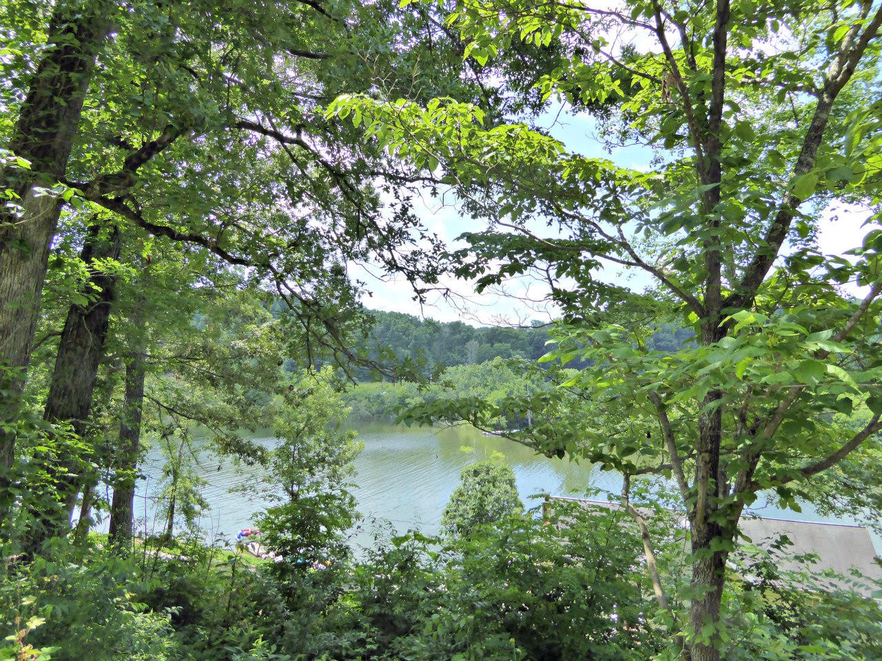 123 Ernie Roberts Road Rutledge, TN 37861 - Photo 12 of 32 Gallery Image 12