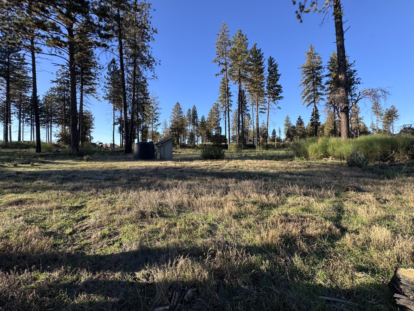 12168 Granite Ridge Road Oroville, CA 95965 - Photo 23 of 34 a view of a yard with a fountain