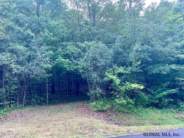0 Rector Road Glenville, NY 12302 - Photo 1 of 2 Photo 1