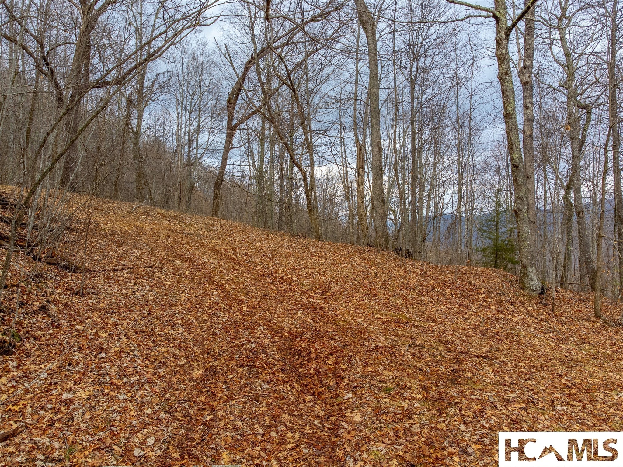 1241 Henry Road Franklin, NC 28734 - Photo 62 of 67 Gallery Image 62