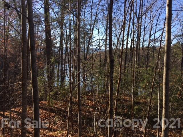 4 Parkway North None Mill Spring Mill Spring, NC 28756 - Photo 1 of 7 a view of forest