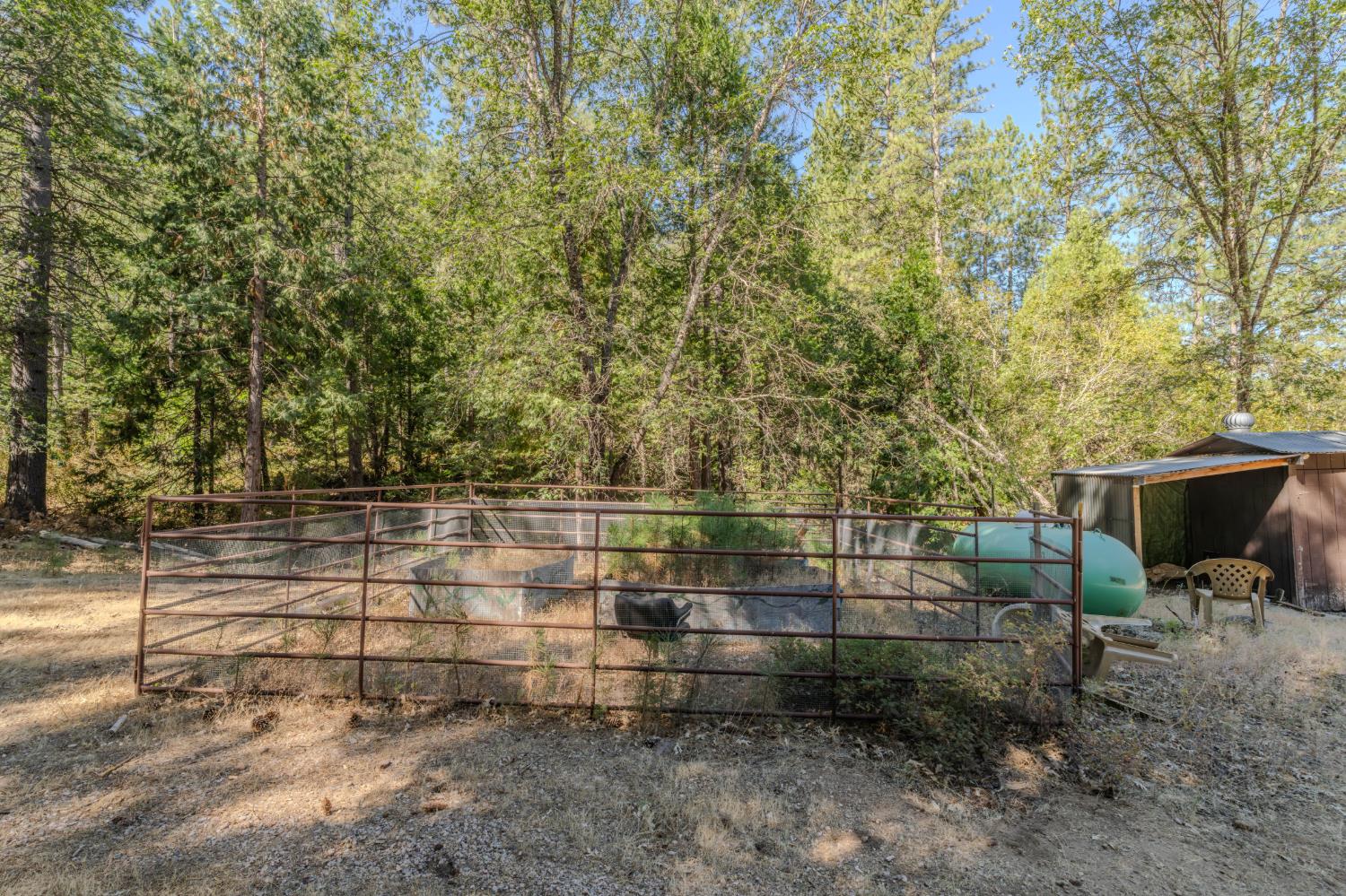 15736 Armstrong Road Mountain Ranch, CA 95246 - Photo 54 of 99 Gallery Image 54