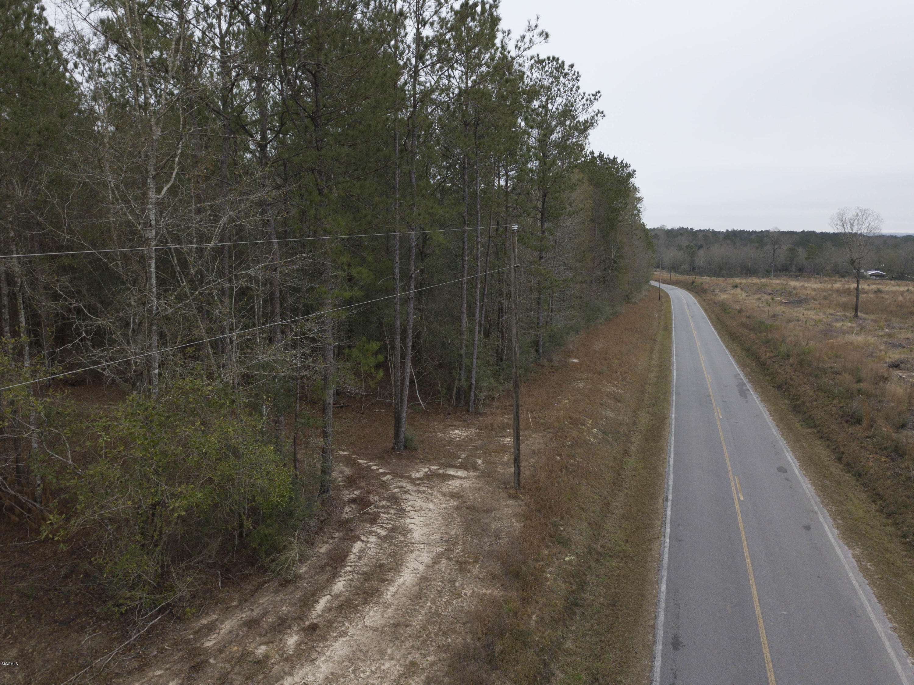 0 Flint Creek Road Wiggins, MS 39577 - Photo 4 of 7 View