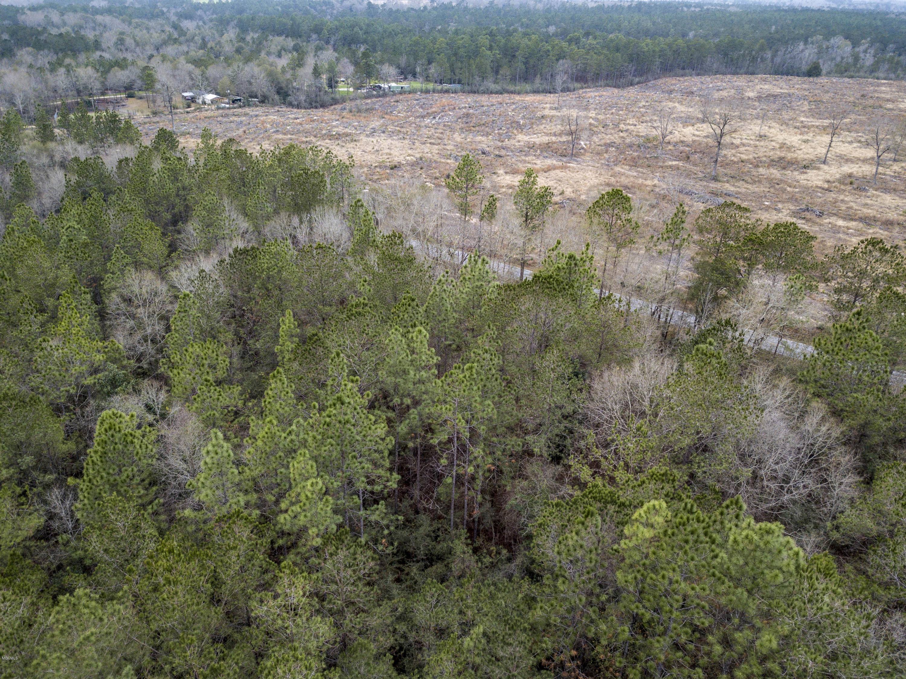 0 Flint Creek Road Wiggins, MS 39577 - Photo 5 of 7 Overhead