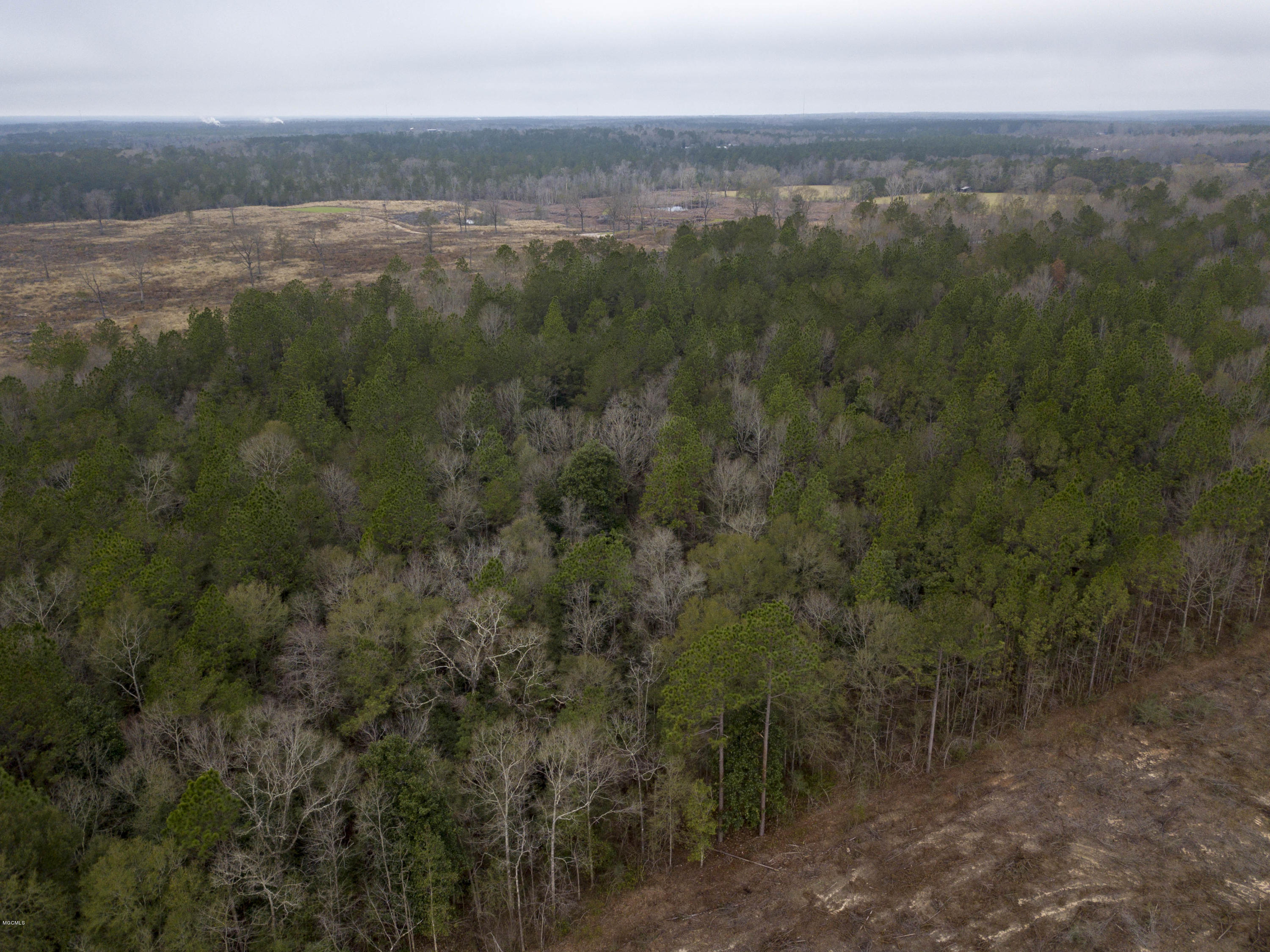 0 Flint Creek Road Wiggins, MS 39577 - Photo 6 of 7 From Rear