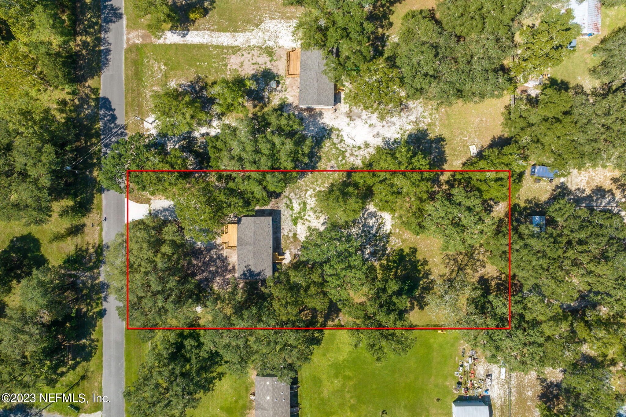 a view of a garden with plants