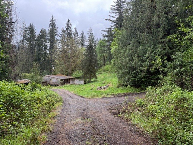 28381 South Salo Road Mulino, OR 97042 - Photo 3 of 6 a view of a garden with large trees