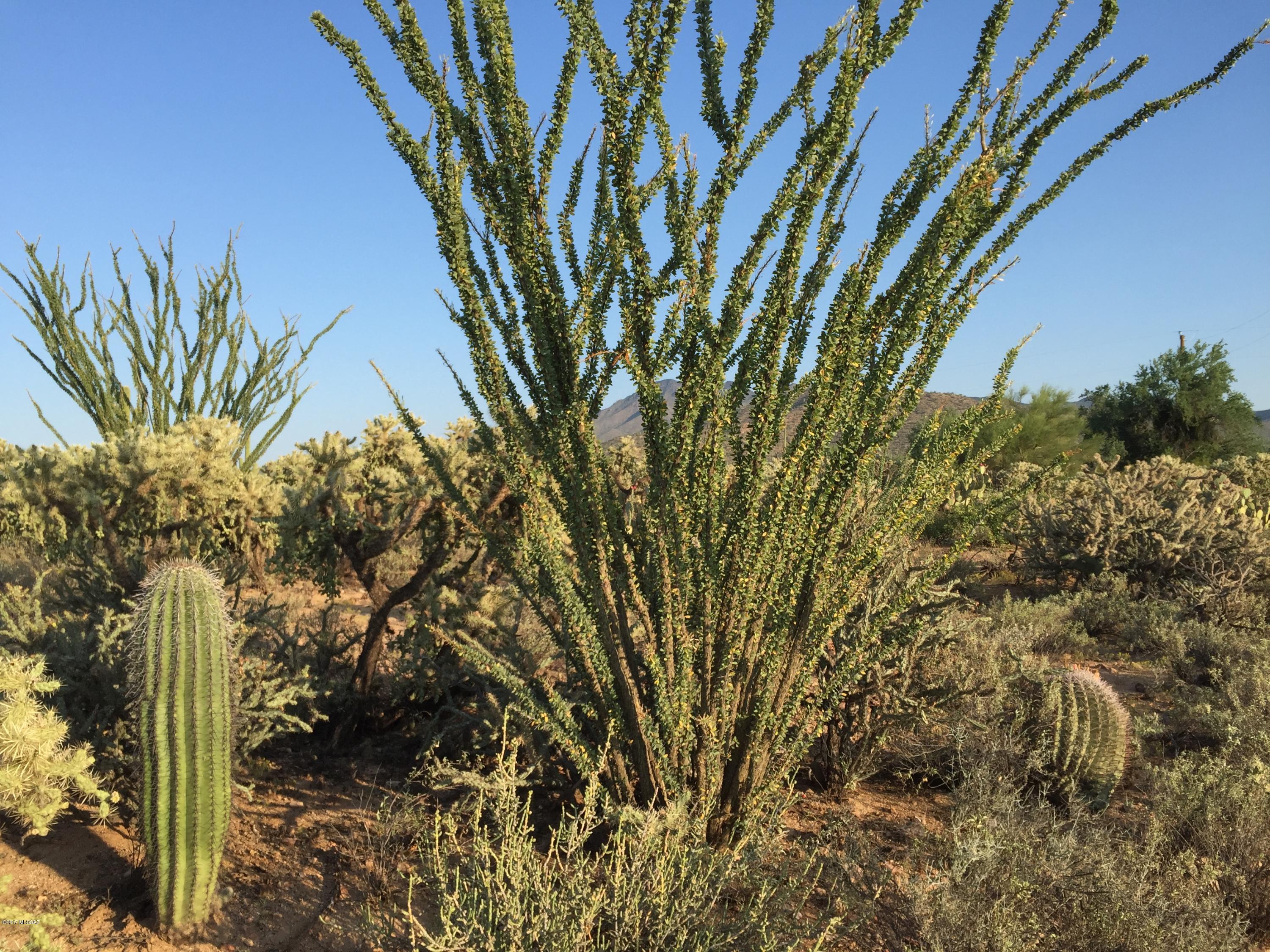 0 West Rudasill Road Tucson, AZ 85743 - Photo 6 of 15 Gallery Image 6