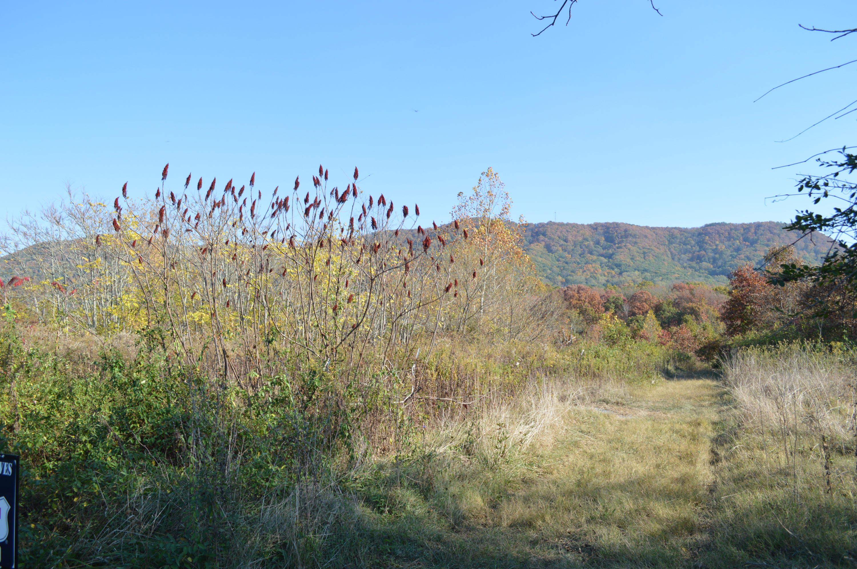 6348 Stephens Quarry Lane Corryton, TN 37721 - Photo 1 of 4 2016-04-10 01.41.53