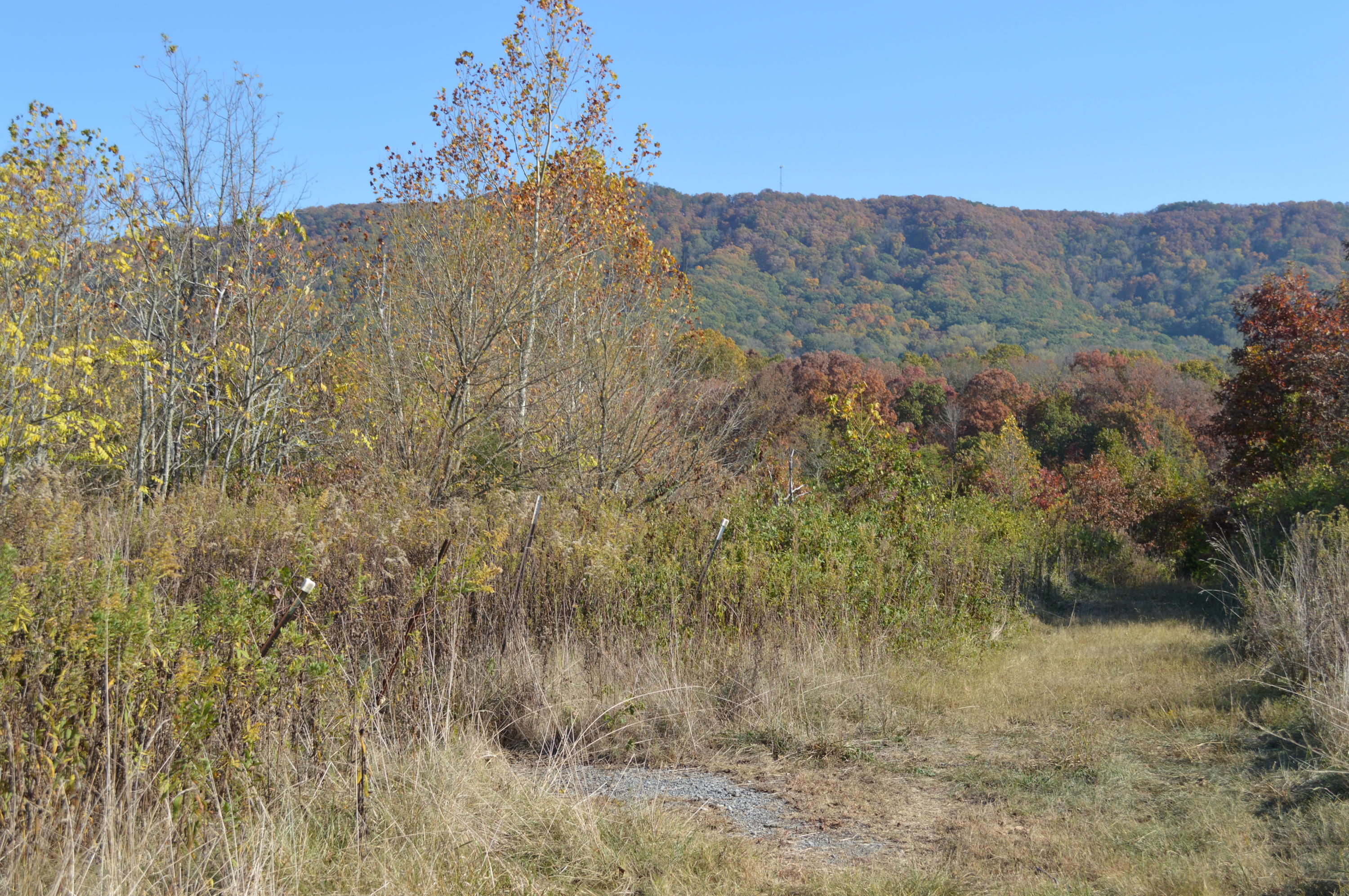6348 Stephens Quarry Lane Corryton, TN 37721 - Photo 3 of 4 2016-04-10 01.42.26
