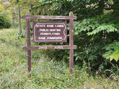 Shrader Creek Road Shunk, PA 17768 - Photo 18 of 18 Gallery Image 18