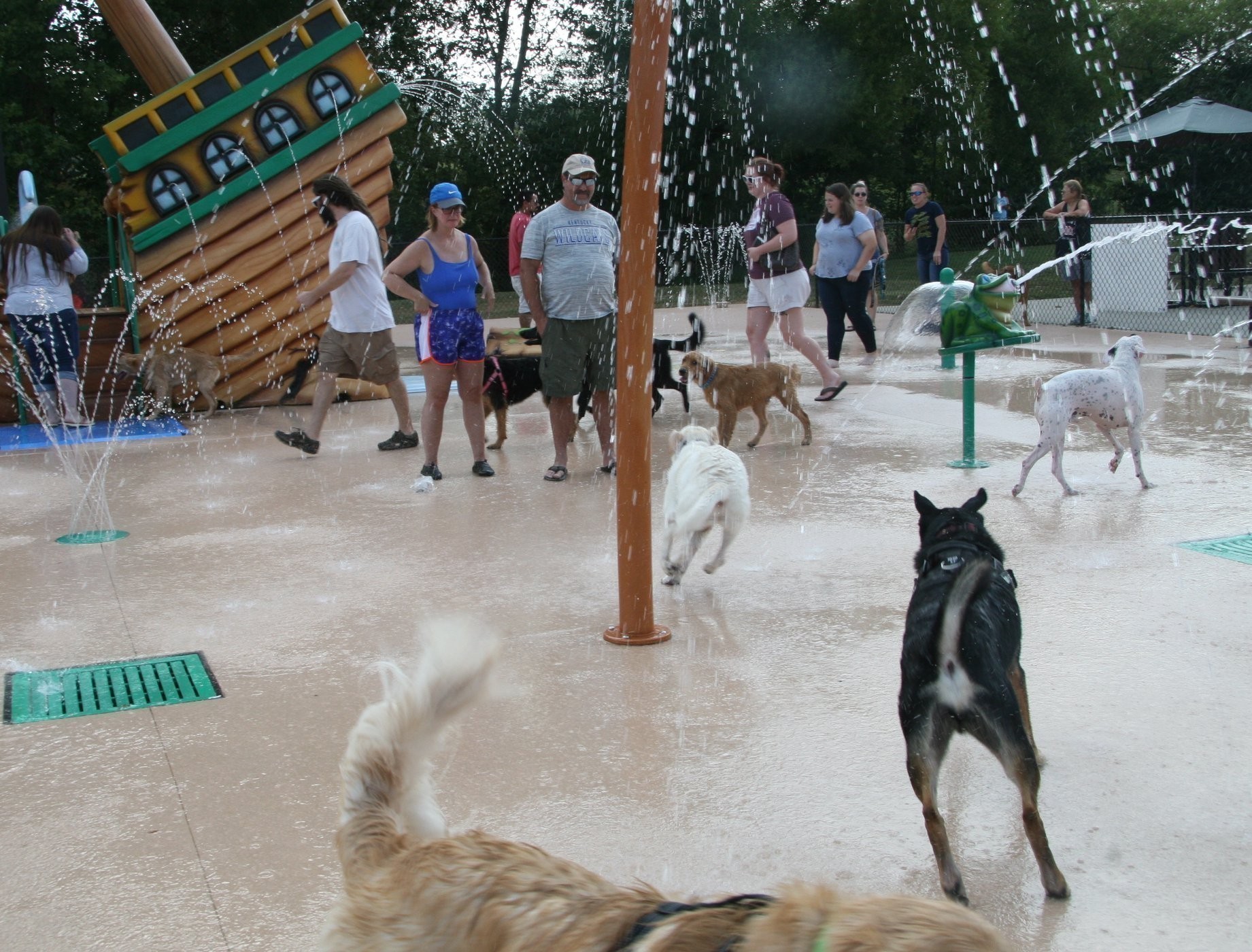 607 Streamview Drive White House, TN 37188 - Photo 12 of 21 an outdoor space with seating