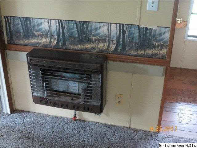 412 Camp Road Hackleburg, AL 35564 - Photo 4 of 24