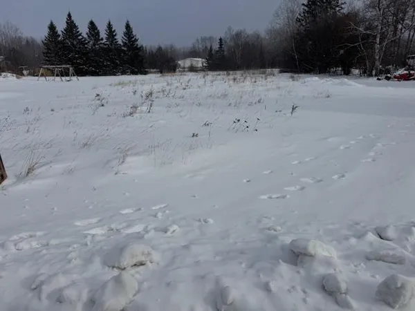 $21,900 | 45-xx 3rd Avenue East, Hibbing, MN 55746