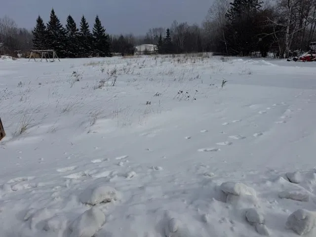 $21,900 | 45-xx 3rd Avenue East, Hibbing, MN 55746