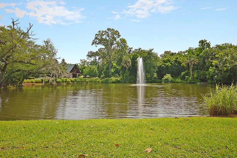 8383 Spring Farm Gate North Charleston, SC 29418 - Photo 36 of 37 DSC_0454-copy