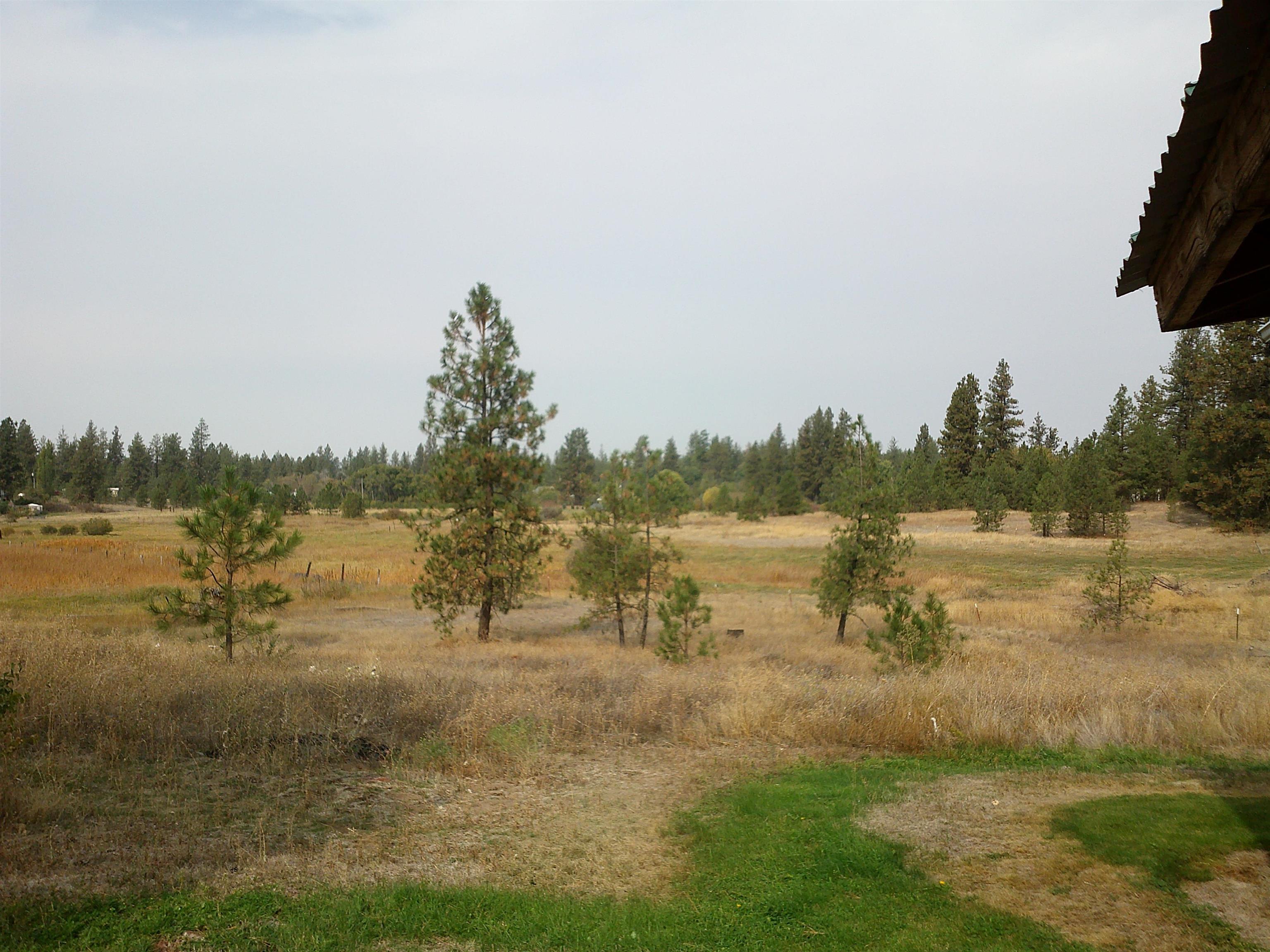 25224 South Carman Road Cheney, WA 99004 - Photo 17 of 43