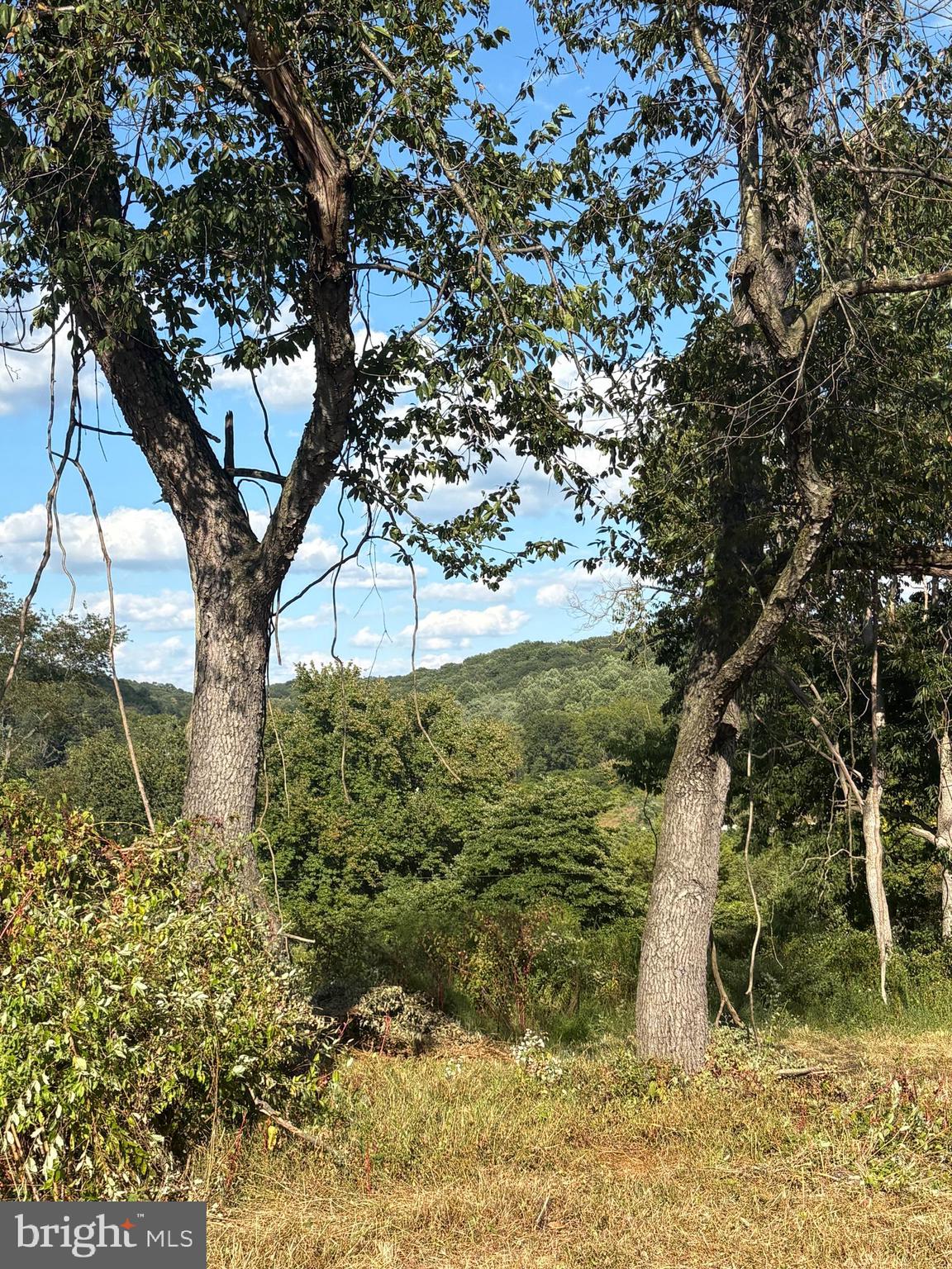 0 York Road York, PA 17407 - Photo 7 of 10 a backyard of a house with lots of green space