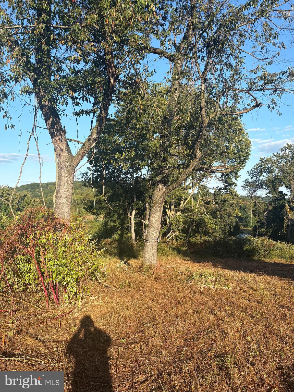 0 York Road York, PA 17407 - Photo 8 of 10 a view of yard covered with snow