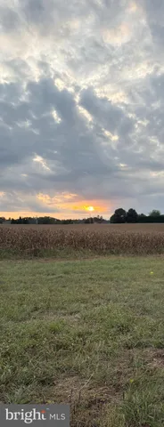 a view of a field with an ocean
