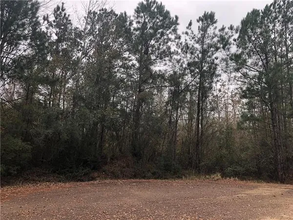 $30,000 | 419 Parlange Drive, Pearl River, LA 70452