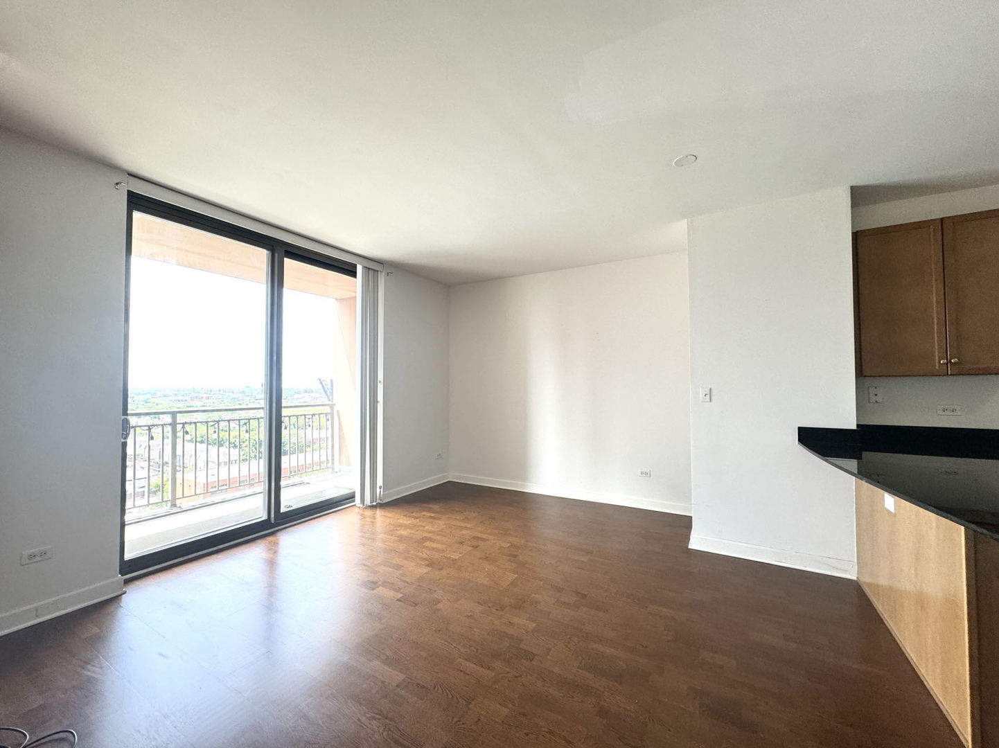 1101 South State Street, Unit 1406 Chicago, IL 60605 - Photo 3 of 9