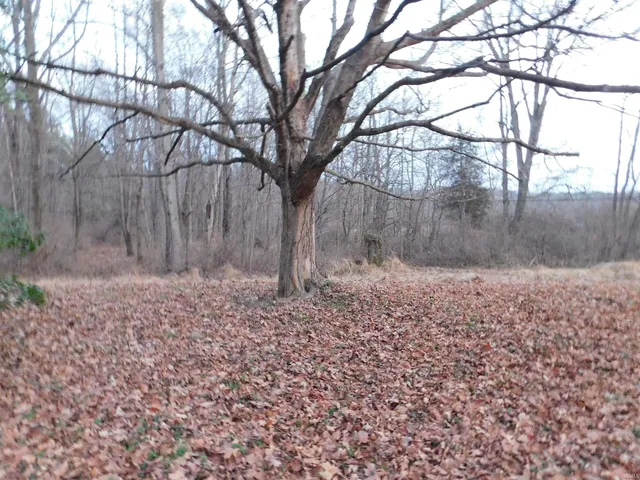 $325,000 | 2100 West Ellsworth Road, Bloomington, IN 47404