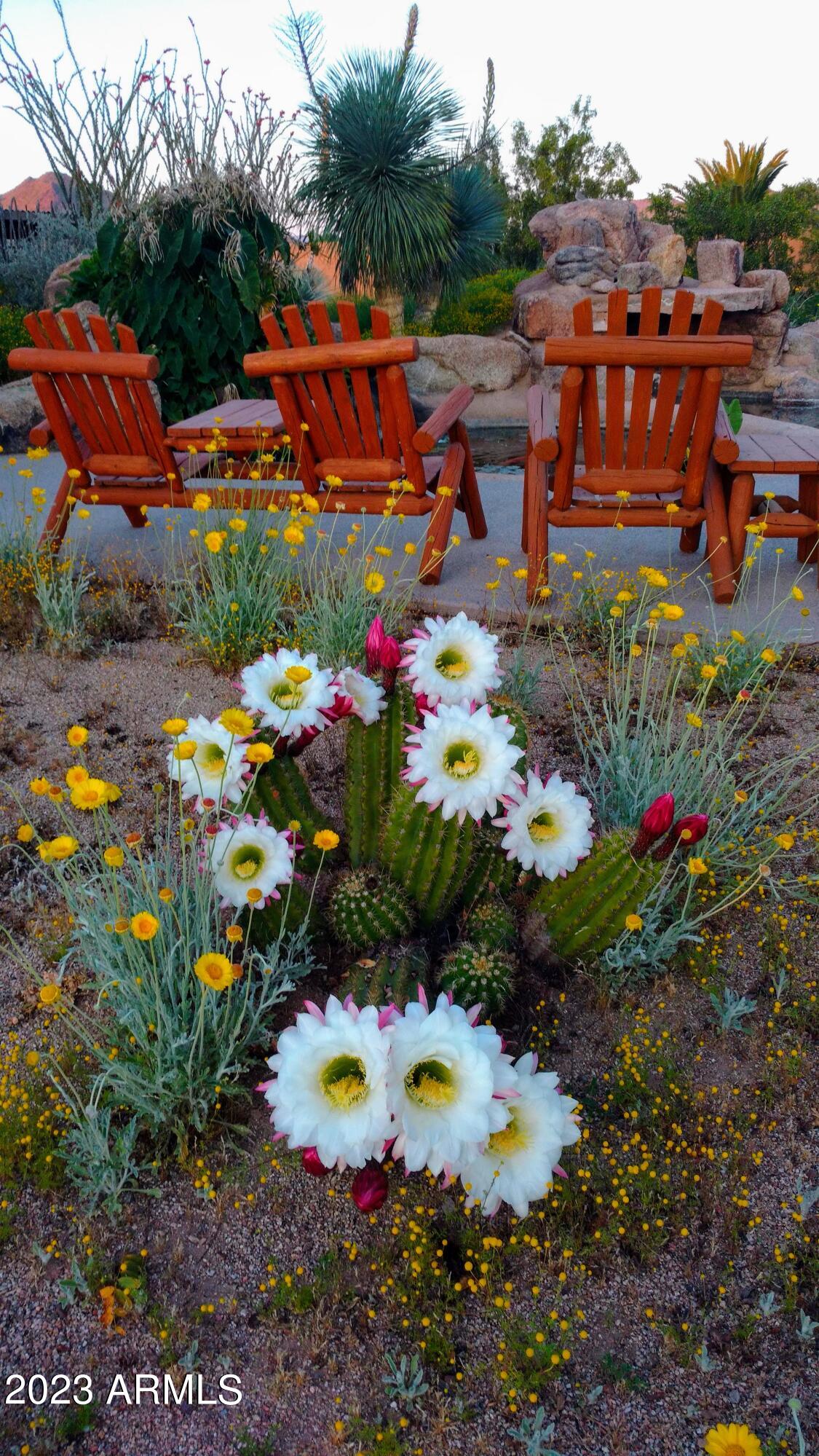 2222 East Maddock Road Phoenix, AZ 85086 - Photo 29 of 47 IMG_20200421_185653279-EFFECTS