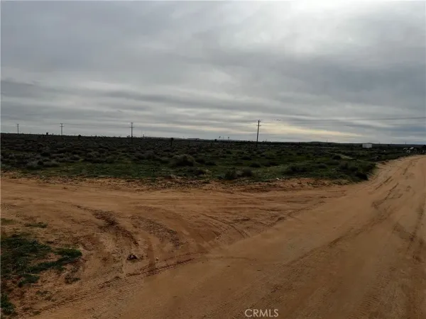 a view of city and ocean