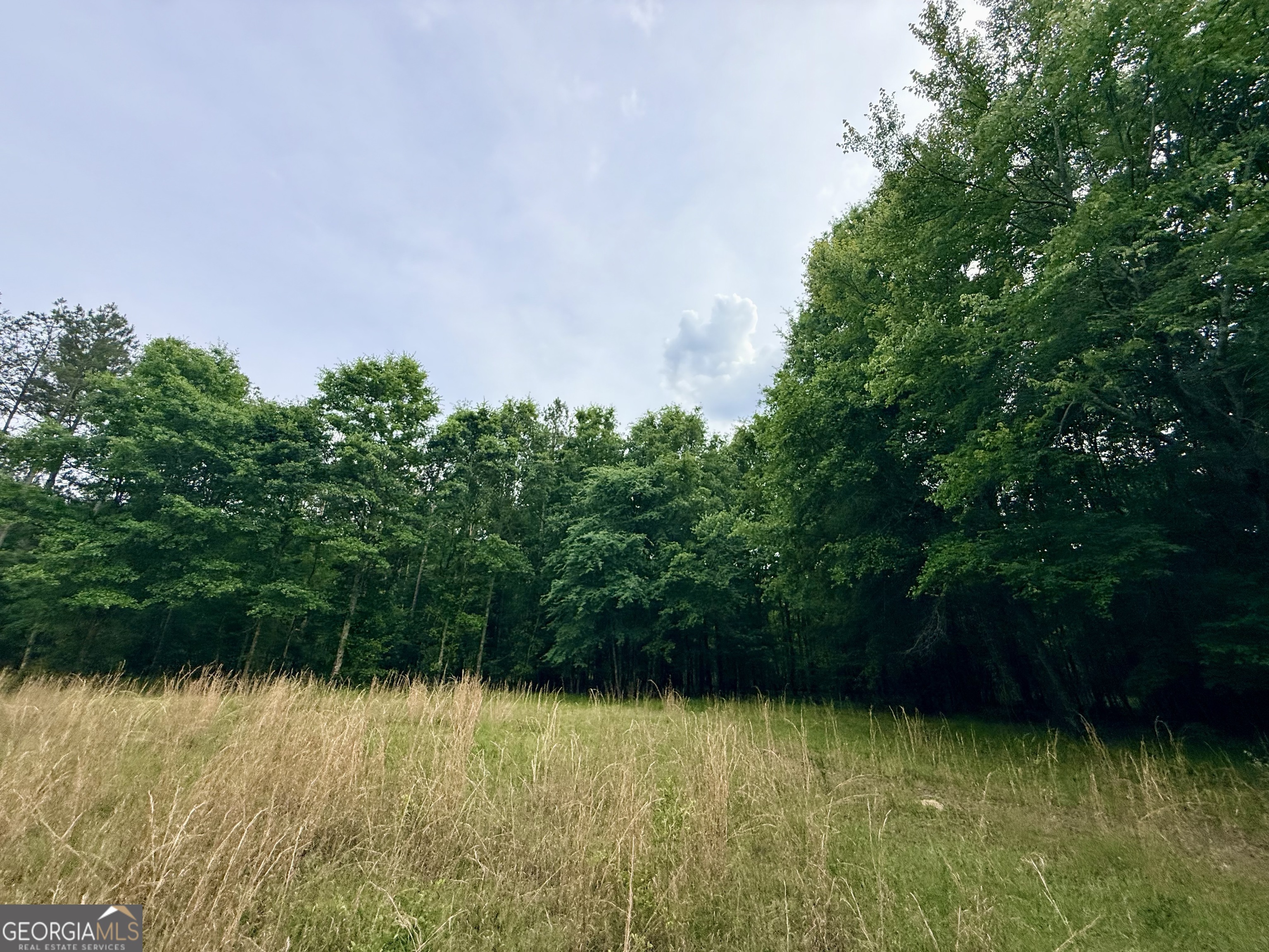 715 Fulsome Creek Road Sparta, GA 31087 - Photo 106 of 117