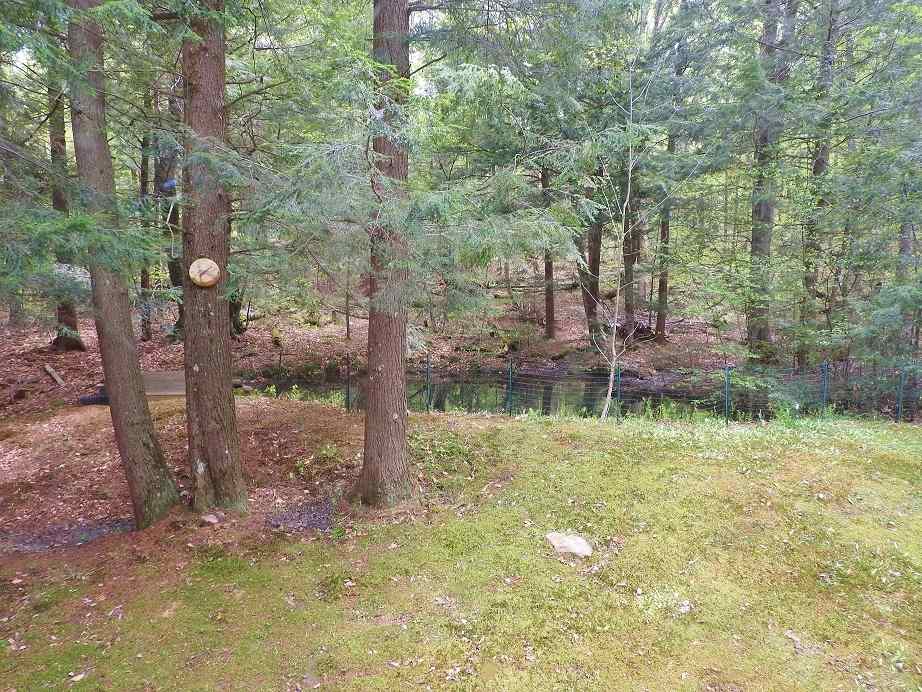 36 Ives Road Wilmington, VT 05363 - Photo 9 of 27 Gallery Image 9