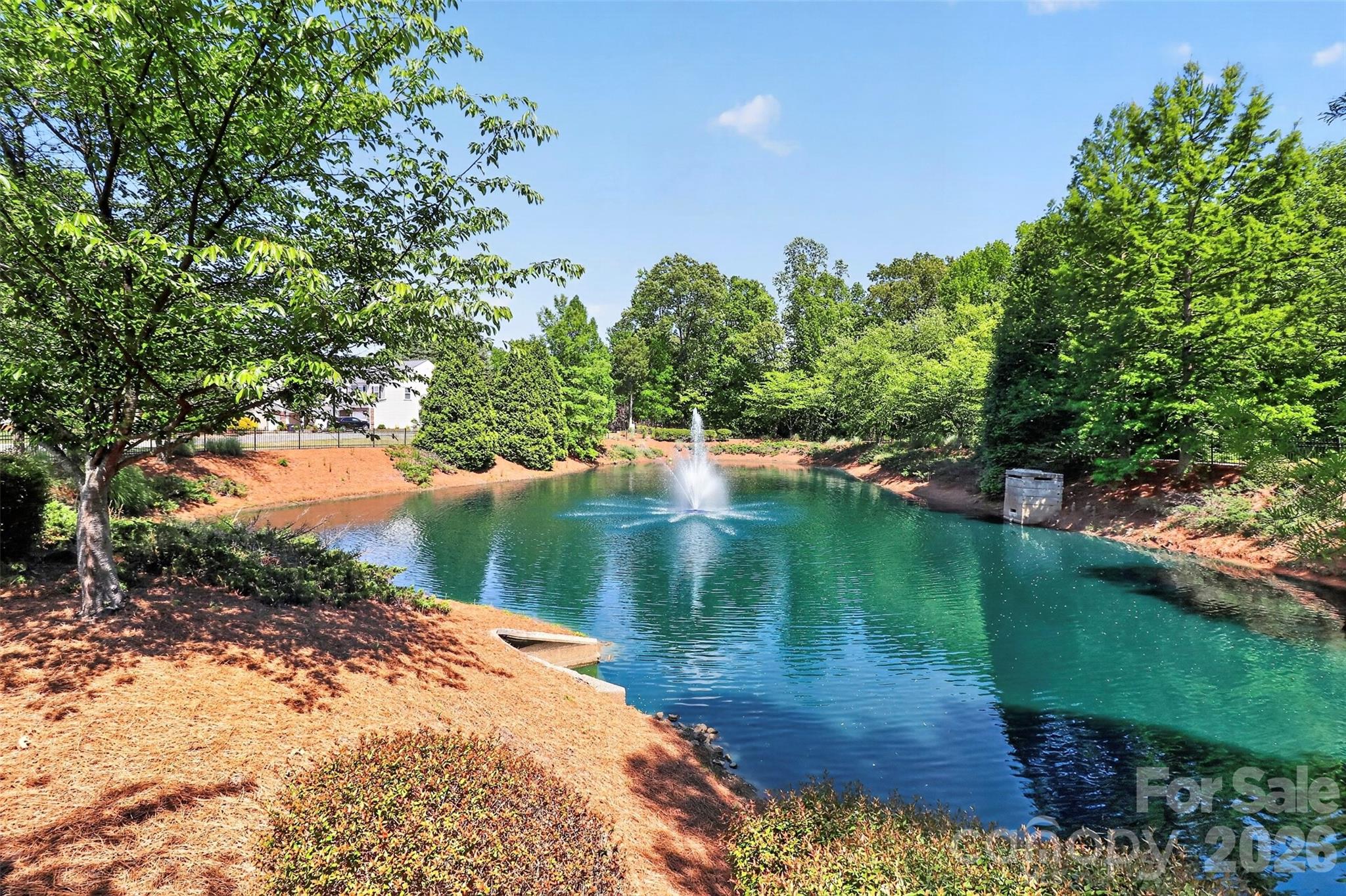 529 Hunters Dance Road Fort Mill, SC 29708 - Photo 14 of 14