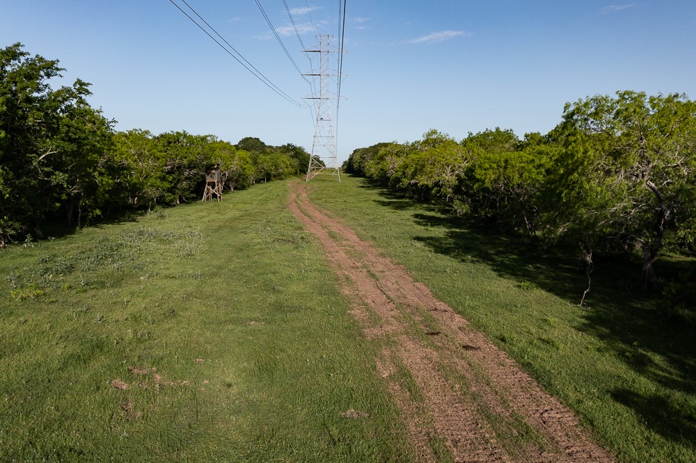 Tbd Anchor Ranch Loop Flatonia, TX 78941 - Photo 13 of 15 a big yard with lots of green space and house in the back