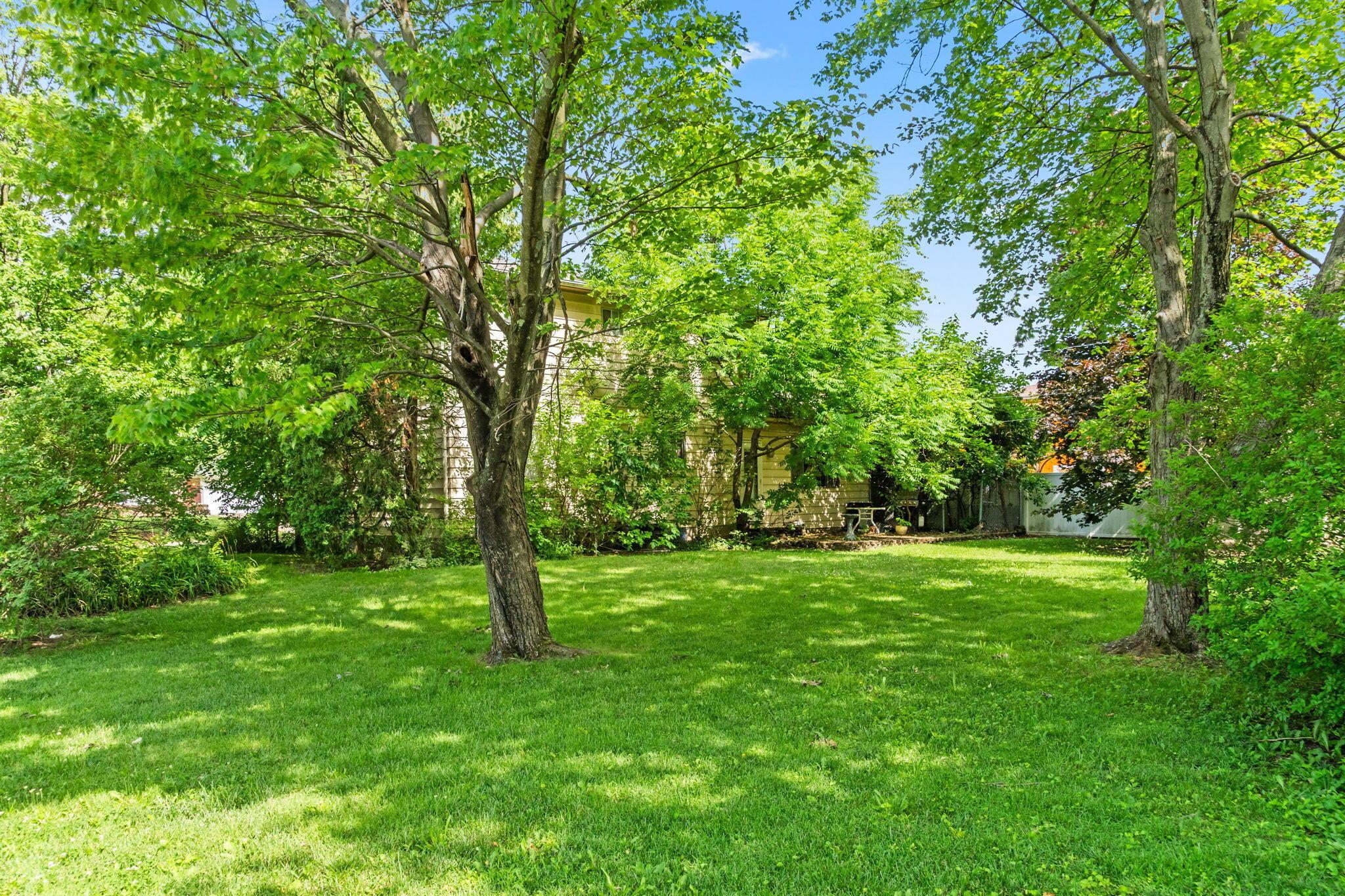 4958 Shadycrest Road Columbus, OH 43229 - Photo 11 of 13 11-web-or-mls-DSC07456-2