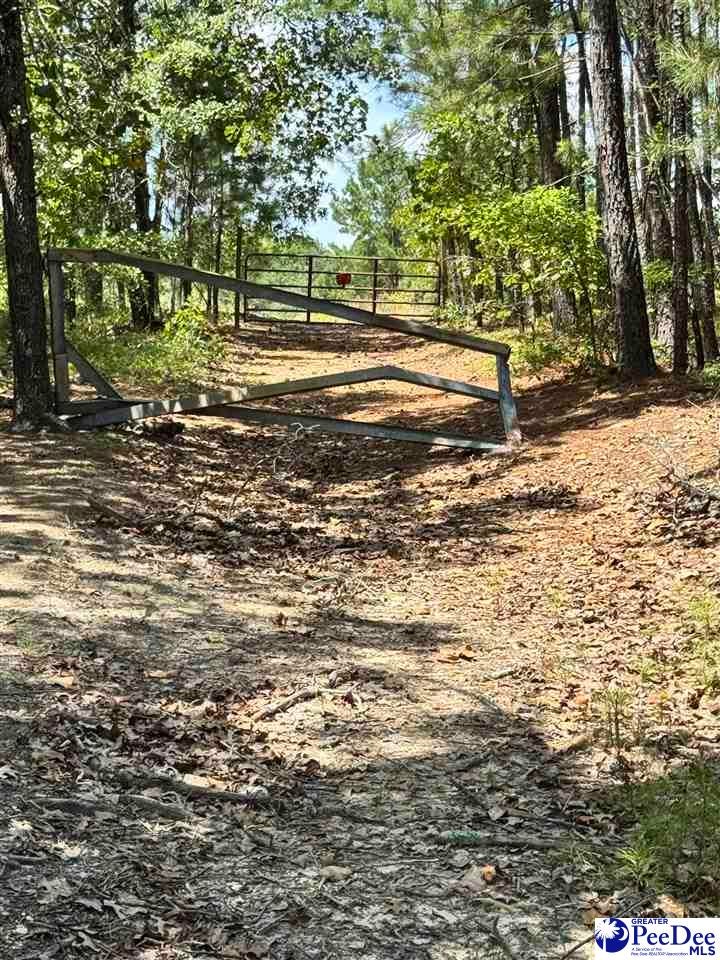 Tbd Tbd Sailclub Road Cheraw, SC 29520 - Photo 4 of 5 Gallery Image 4
