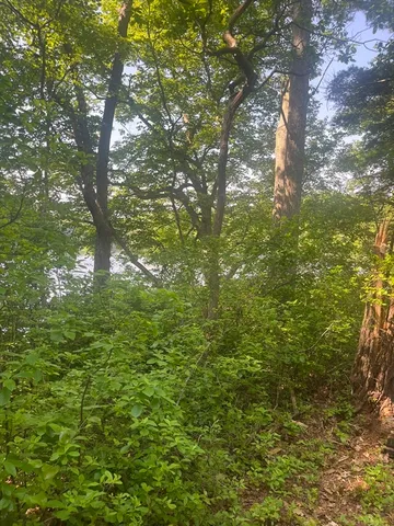 $129,900 | 0 Morse Street, Halifax, MA 02338