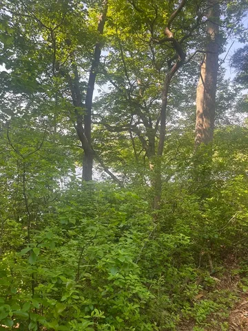 $129,900 | 0 Morse Street, Halifax, MA 02338