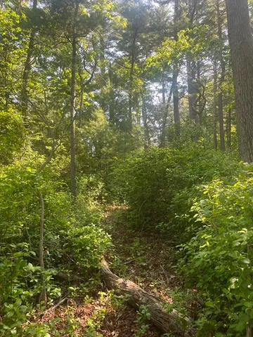 $129,900 | 0 Morse Street, Halifax, MA 02338