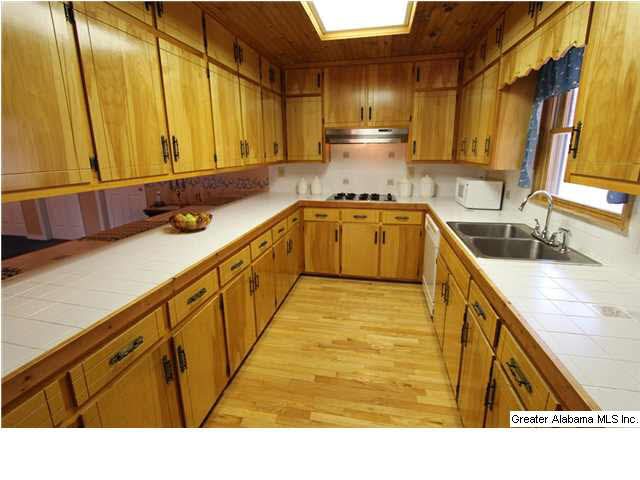 1019 County Road 233 Fruithurst, AL 36262 - Photo 5 of 32