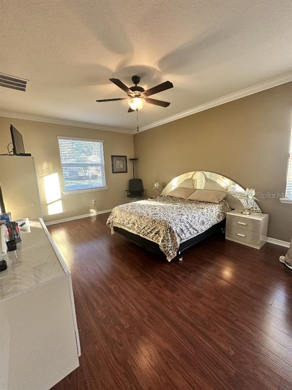 11248 Mollymawk Court New Port Richey, FL 34654 - Photo 12 of 21 a bedroom with a bed and ceiling fan