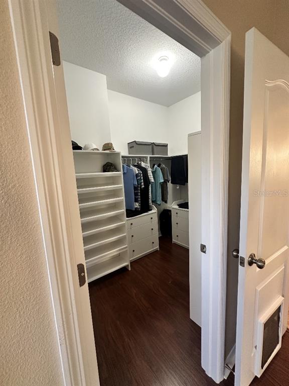 11248 Mollymawk Court New Port Richey, FL 34654 - Photo 15 of 21 a view of walk in closet with empty racks