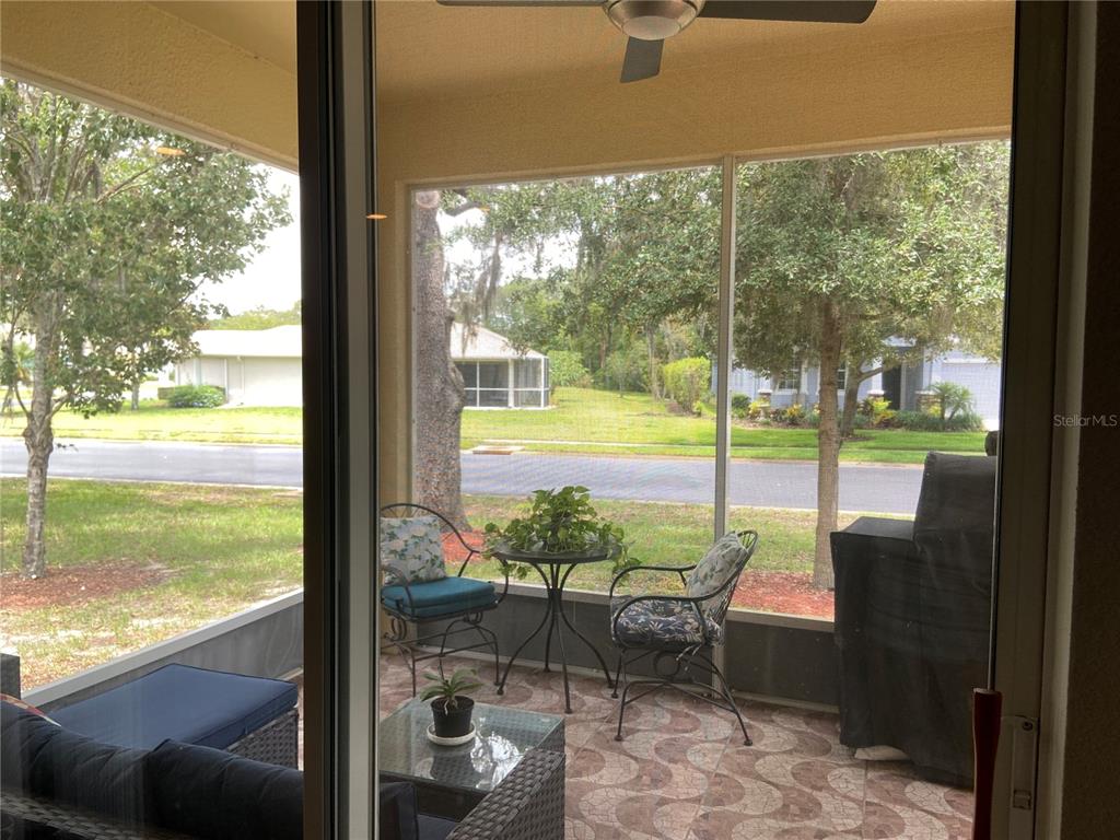 11248 Mollymawk Court New Port Richey, FL 34654 - Photo 20 of 21 a view of a room with backyard potted plant and a floor to ceiling window