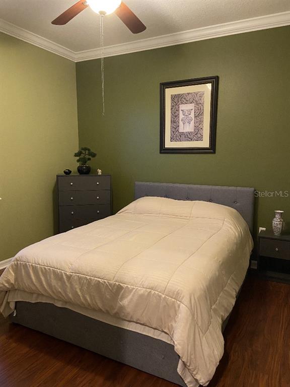 11248 Mollymawk Court New Port Richey, FL 34654 - Photo 6 of 21 a bedroom with a bed and a lamp on dresser