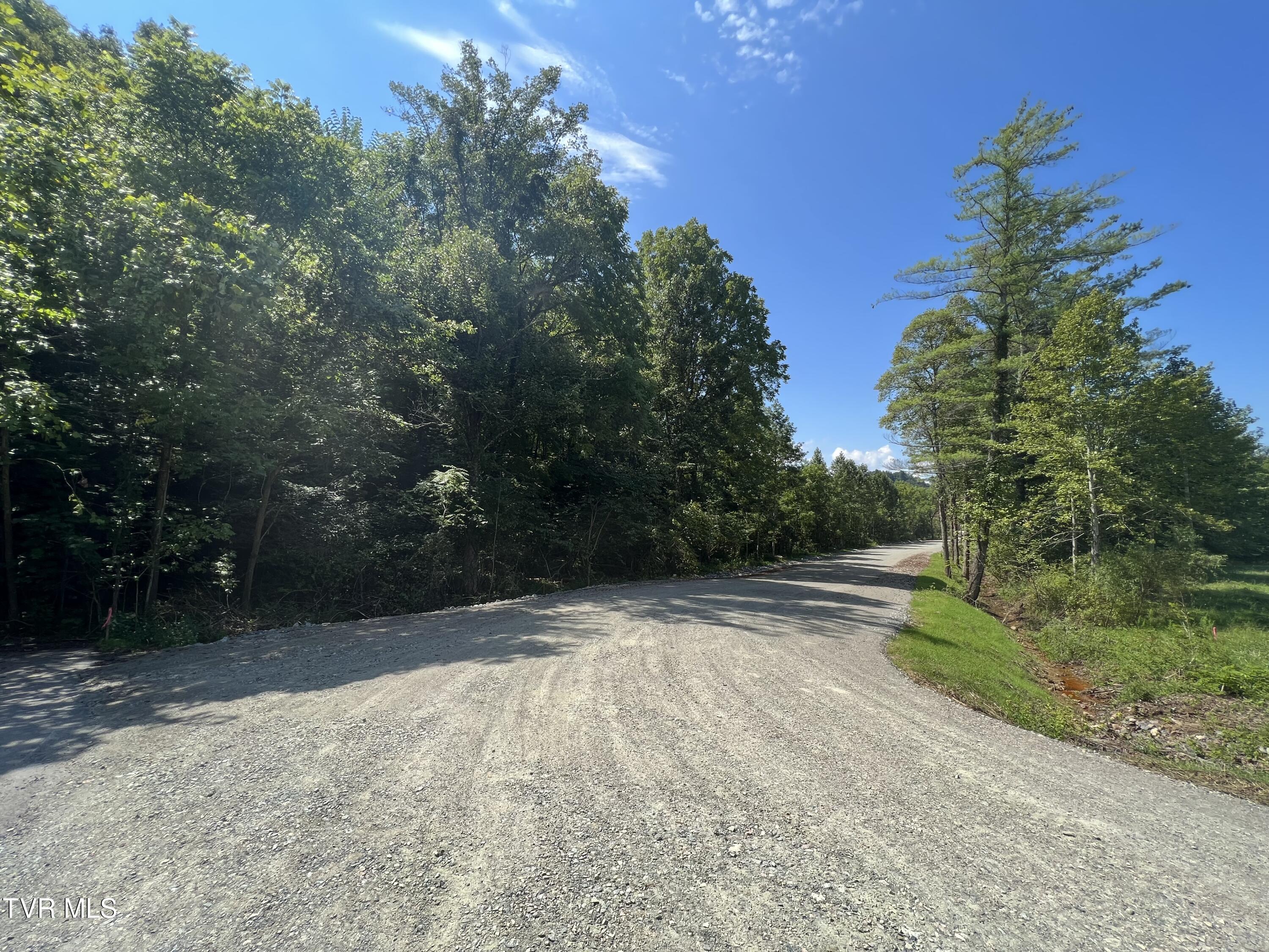 Tbd Tbd 67th Highway Butler, TN 37640 - Photo 23 of 23 Photo Aug 29, 12 12 02 PM