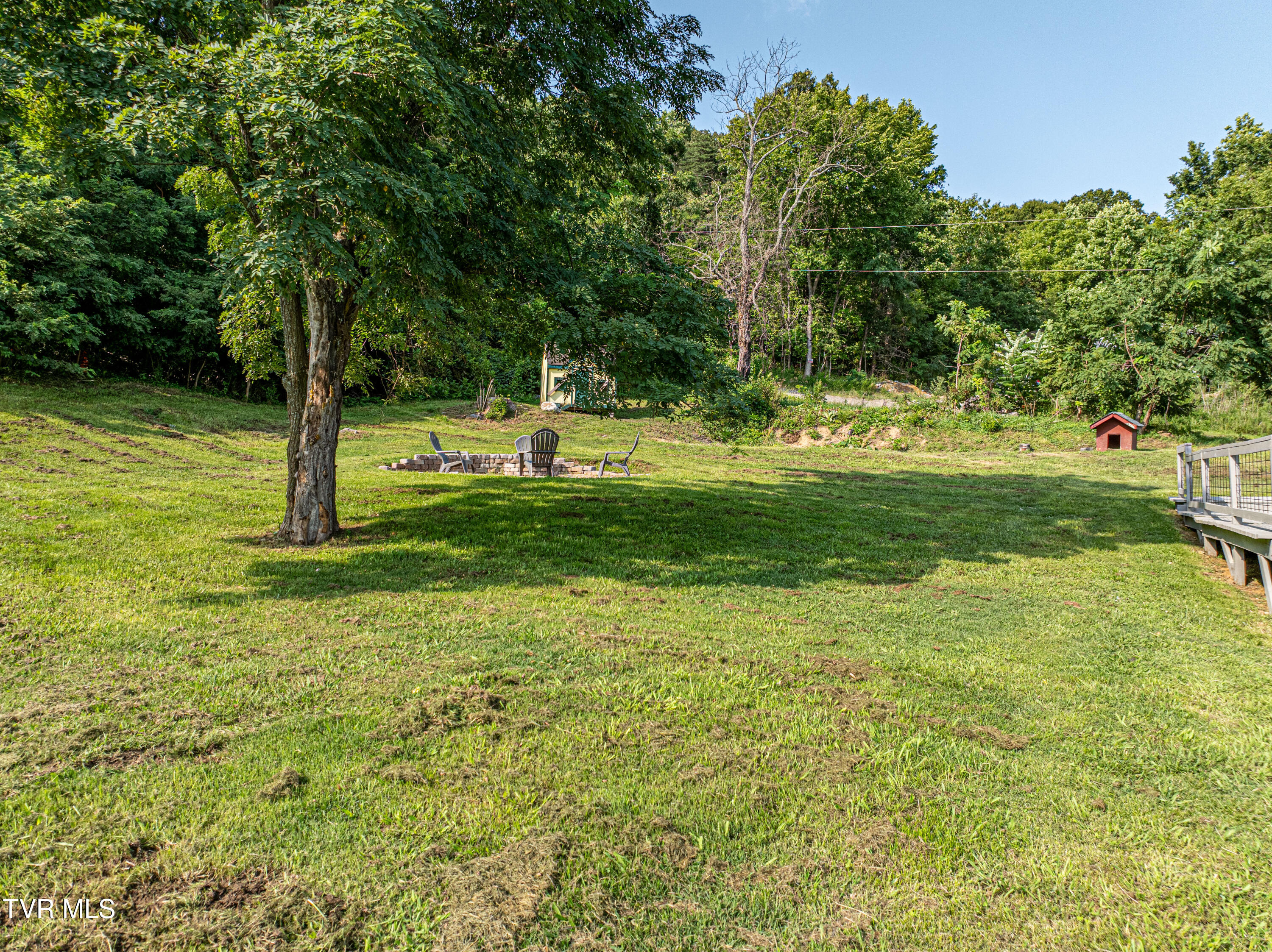 9025 Nininger Road Bristol, VA 24202 - Photo 38 of 46 View towards Fire Pit
