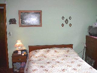 13841 North Ridge Road Milan, MI 48160 - Photo 8 of 20 464473-7.JPG