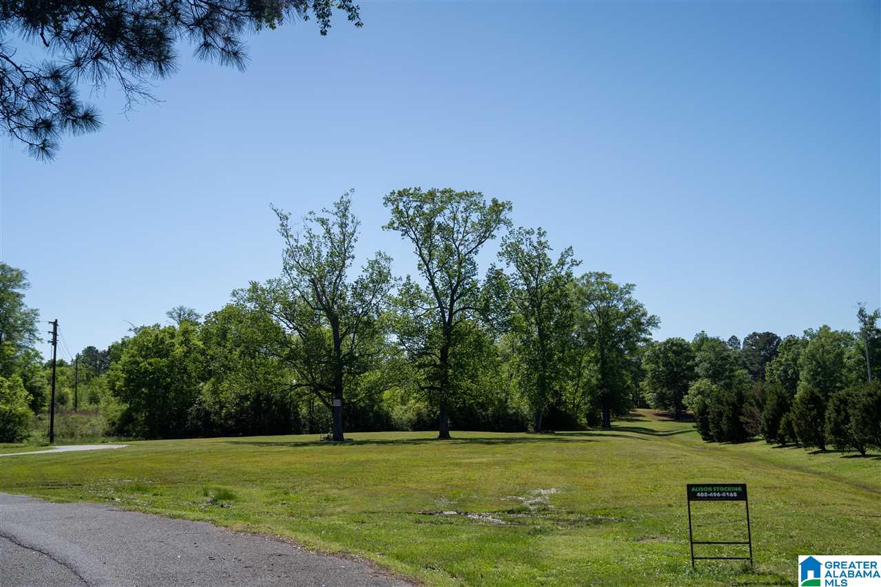 0 D Street Jacksonville, AL 36265 - Photo 21 of 23