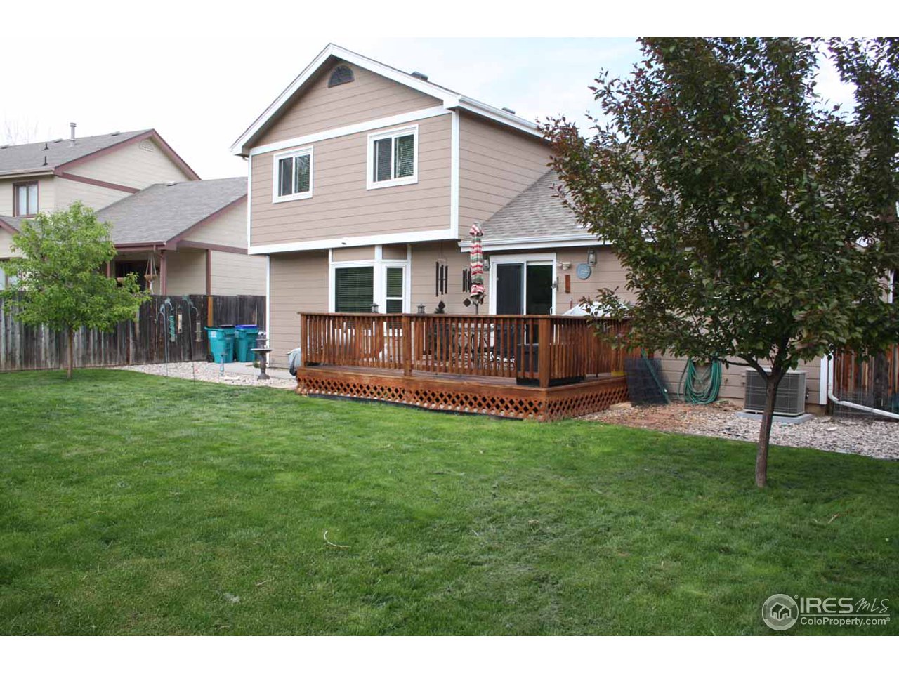Expansive back yard