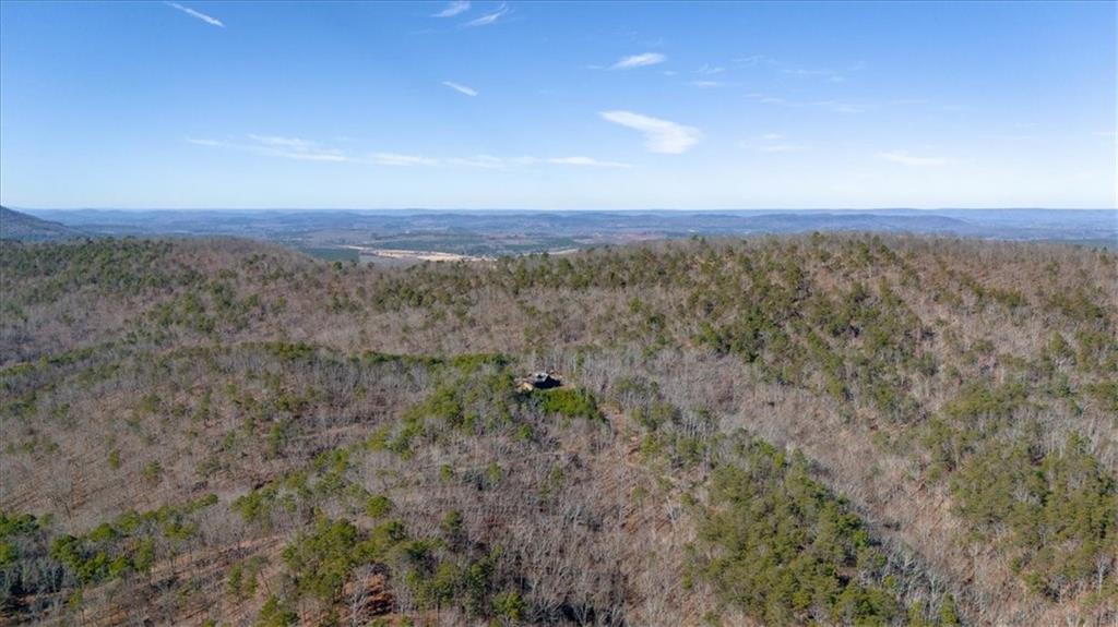 2623 Big Texas Valley Road Northwest Rome, GA 30165 - Photo 73 of 90