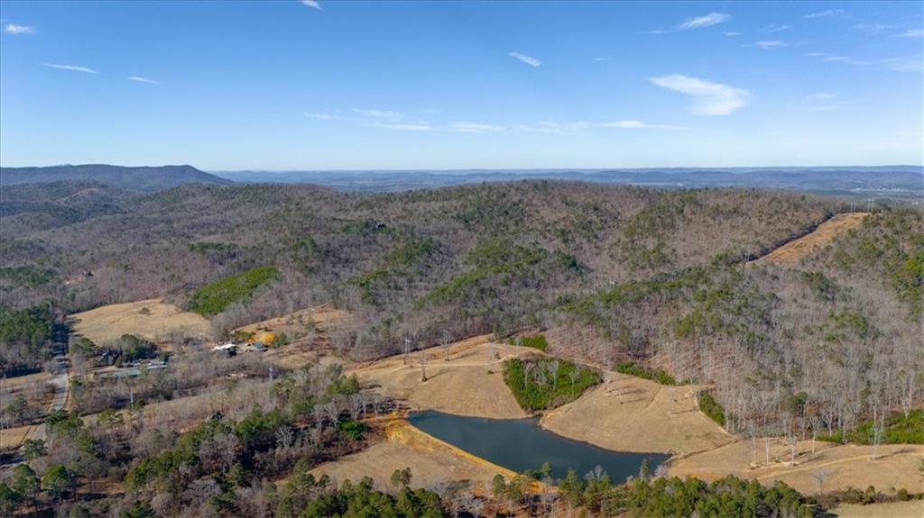 2623 Big Texas Valley Road Northwest Rome, GA 30165 - Photo 76 of 90 an aerial view of a house with mountain view